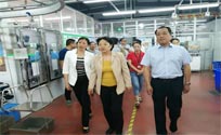Anyang CPPCC come to our company for investigation